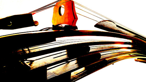 Lingsma electric Upright Basses - link to article body design
